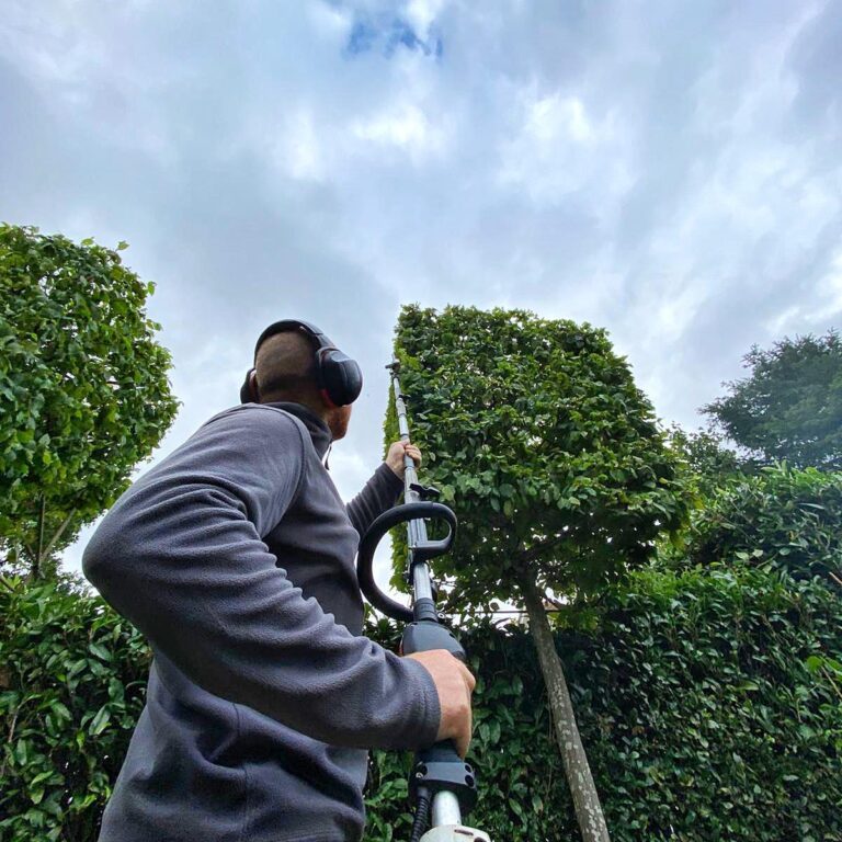 296186854_713674613308193_2875971300064226740_n